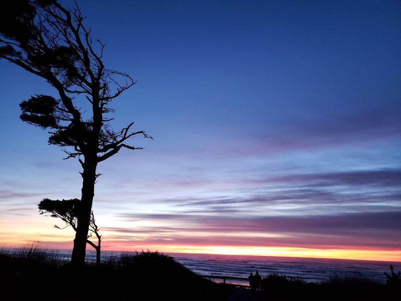 Sunsets, Stargazing, and Evening Atmosphere