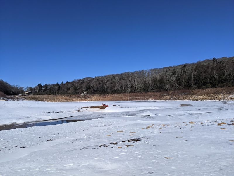 The Eerie Discovery That Made Headlines