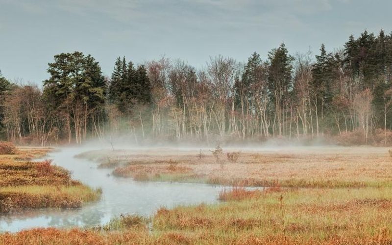 The Lenape Legacy and Deep Cultural Roots of the Pinelands