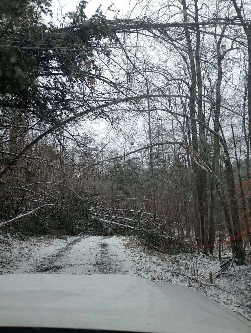 Hunting Seasons That Draw Serious Sportsmen to the Mountain