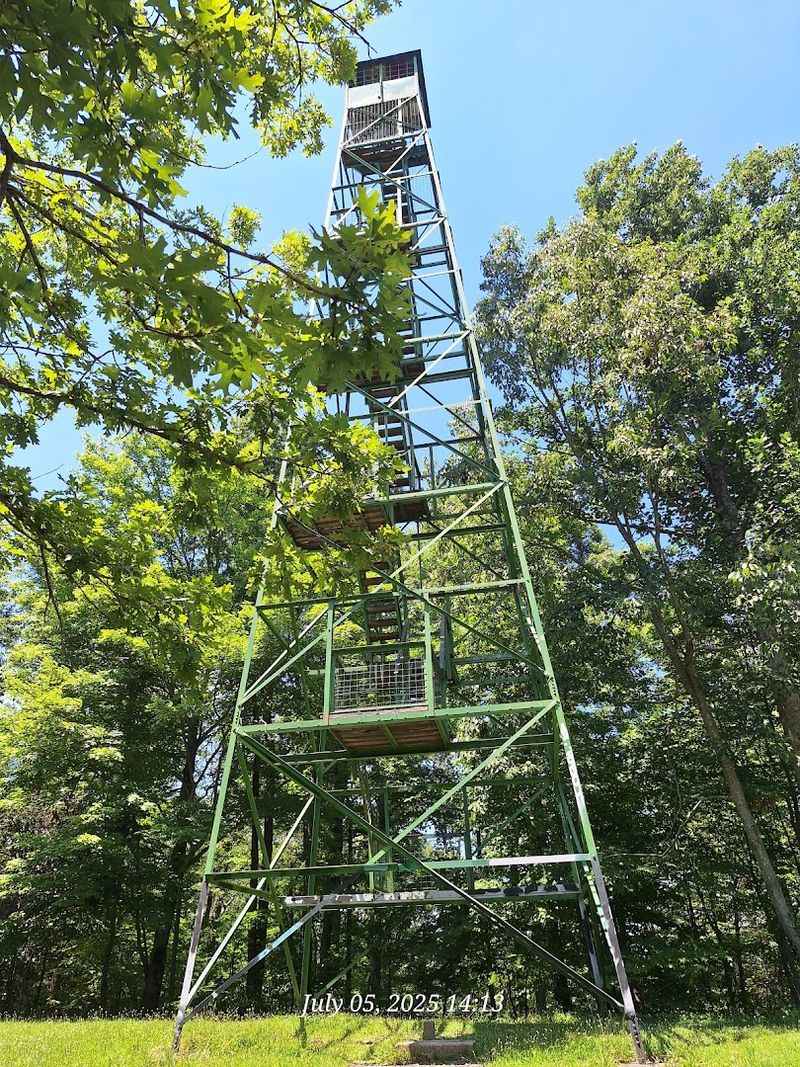 Nearby Spots Worth Pairing With Your Forest Visit