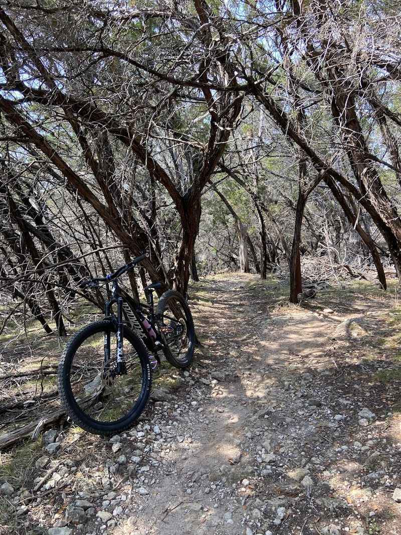 Mountain Biking Through Wildflower Country