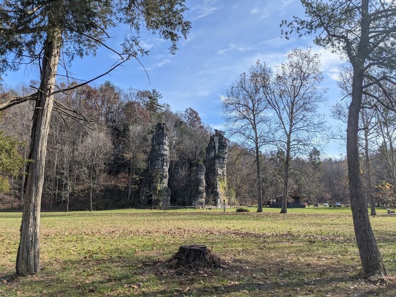 Camping Under the Stars at the Park