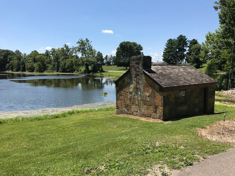 Educational Programs and Events That Bring Nature To Life