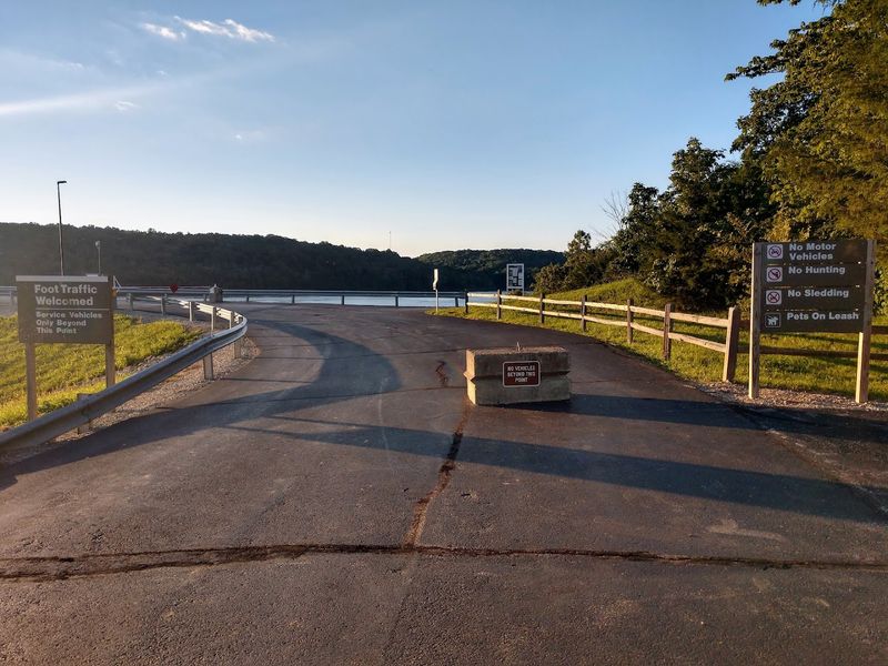 Wildlife Watching and Birdwatching Along the Shoreline