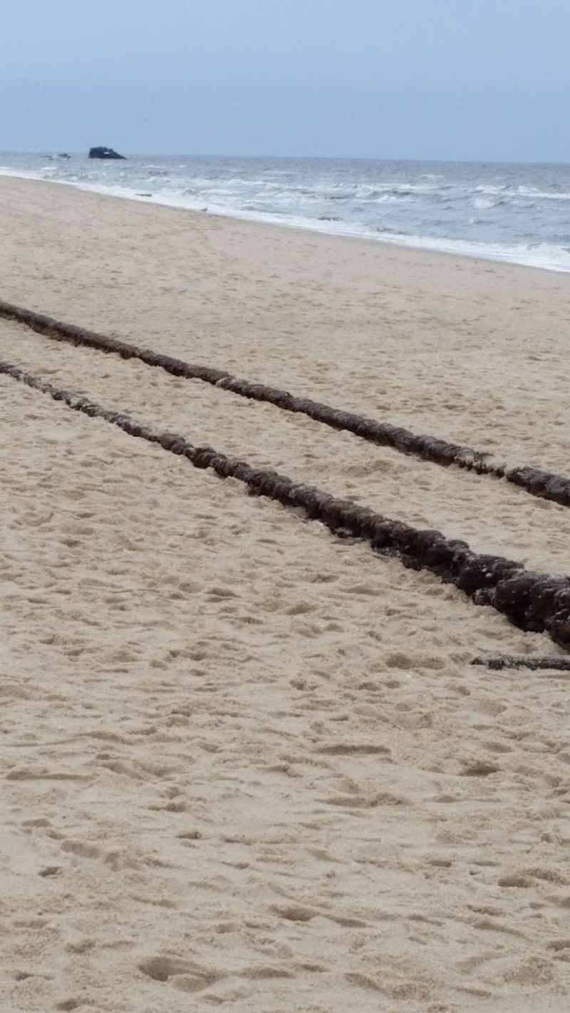 The Ghost Tracks That Emerge From the Sand
