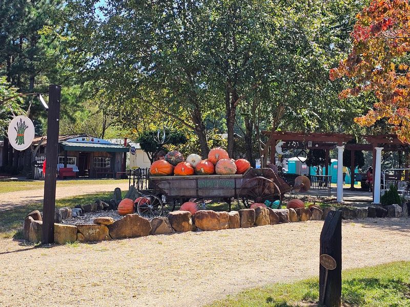 The Fall Festival That Turns the Farm Into a Seasonal Spectacle