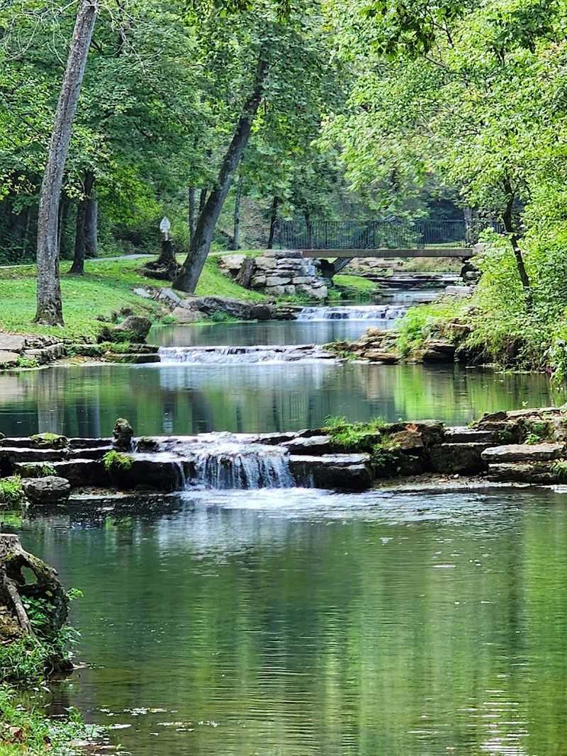 The Spring-Fed Streams and Wildlife in the Water