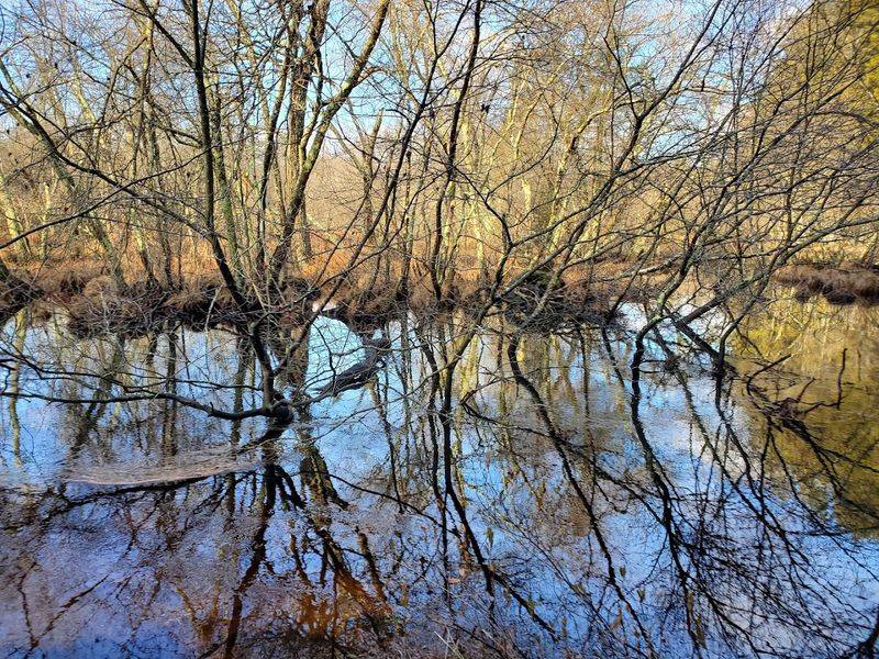 Paddling In by Canoe or Kayak