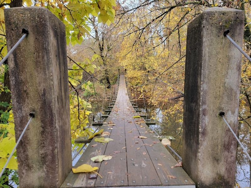 The Swinging Bridge: A Highlight You Will Not Expect