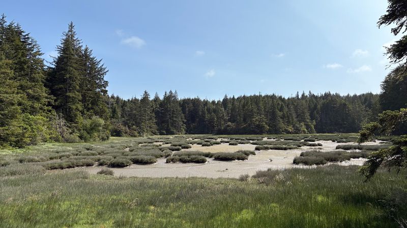The Tidal Channels Up Close