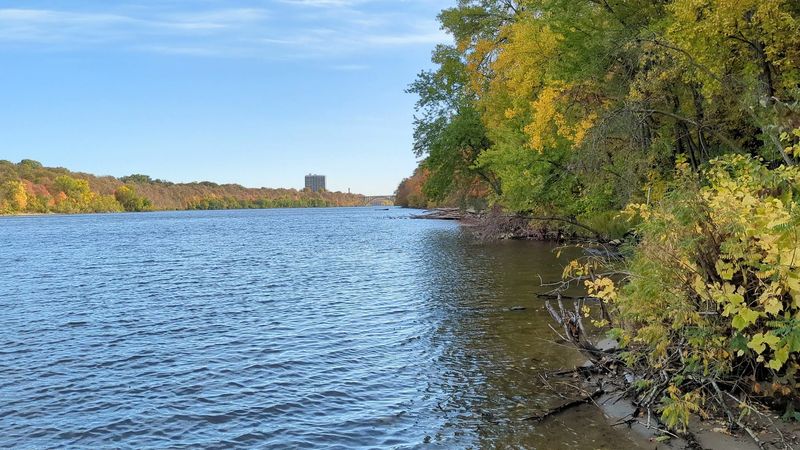 Birdwatching Along the Mississippi Flyway