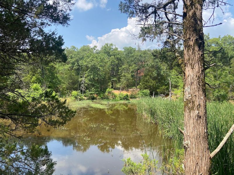 The Beaver Slide Nature Path Along the Shore