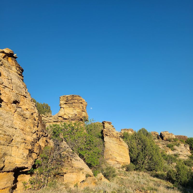 Fossil Hunting and What You Can Actually Find