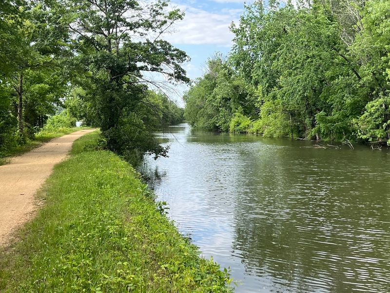 The Canal Towpath and Its Rich Mule-Pulling Past