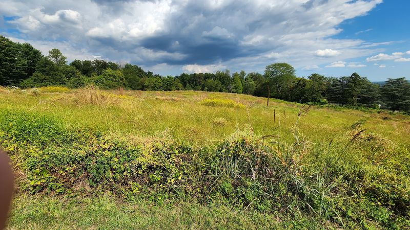 The Pollinator Meadow and Conservation Area on the White Trail