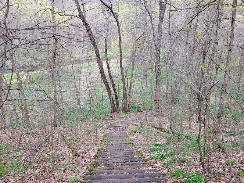 The Palisades Trail and Its Sweeping Views