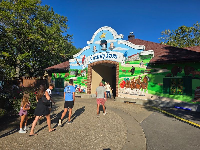 Play Areas And Shows Stretch The Visit