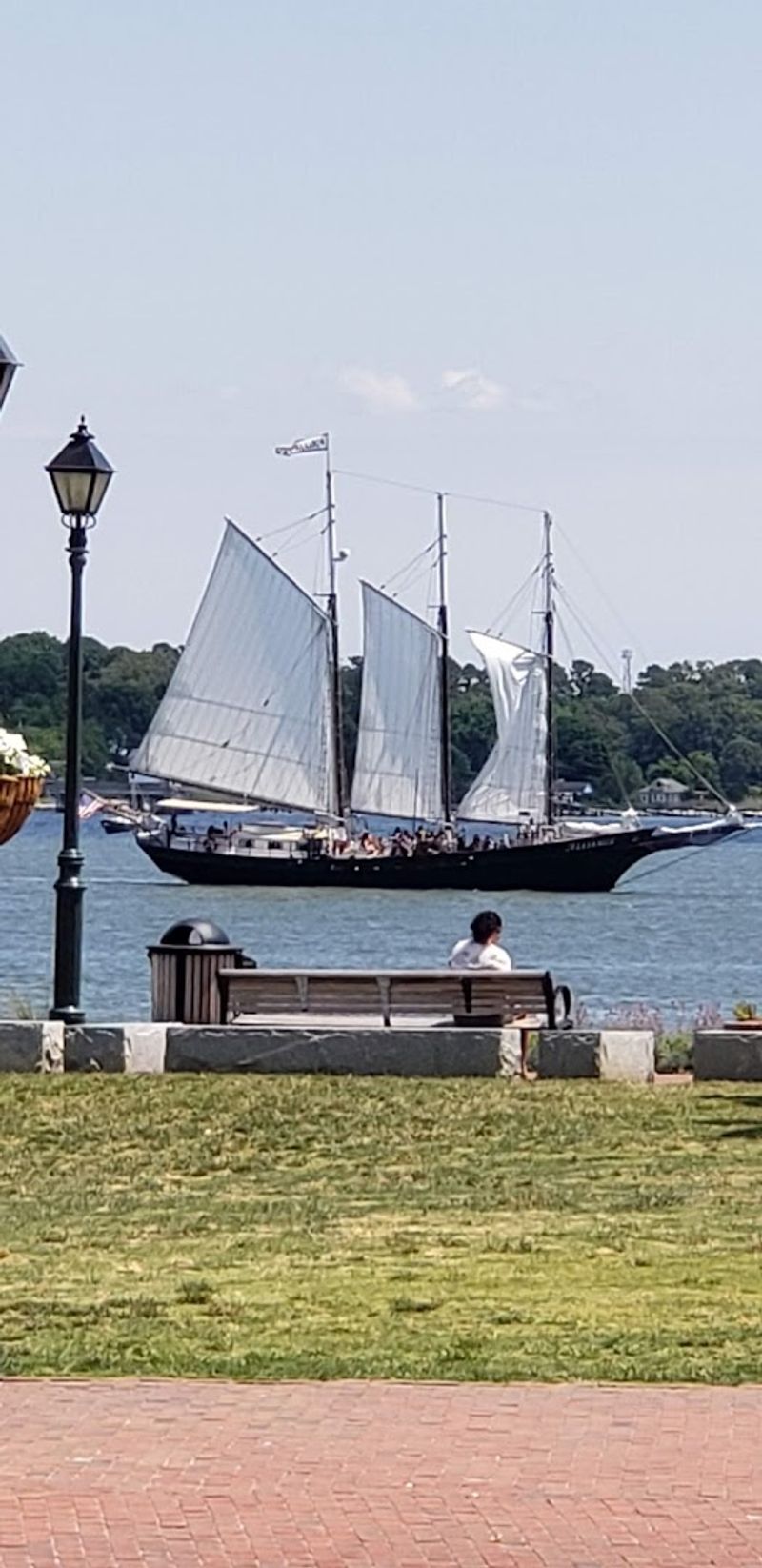 Dining Along the Water: Fresh Flavors With a View