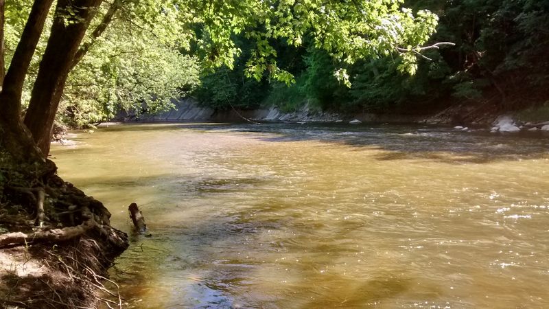 Scenic Beauty That Changes With Every Season