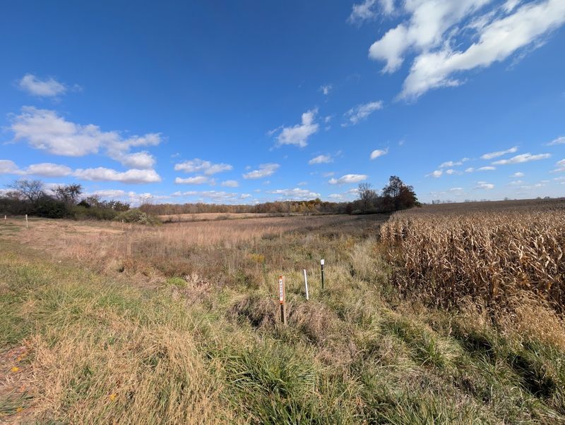 Scenery That Rewards the Drive Out