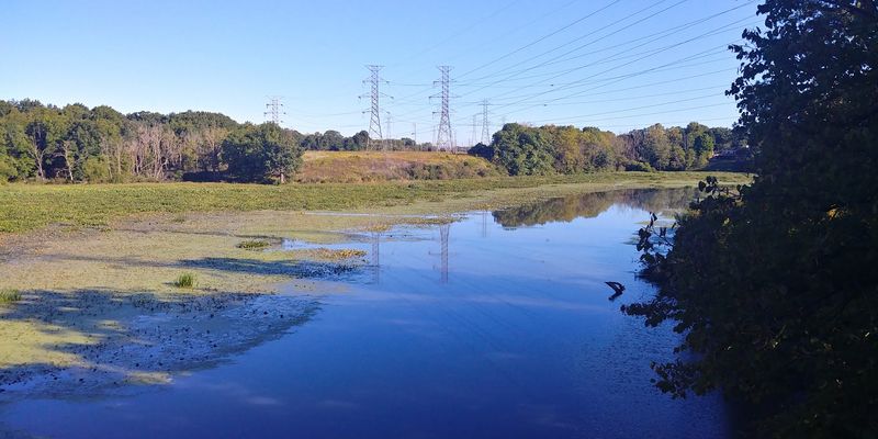 Wildlife Beyond Birds That Will Catch You Off Guard