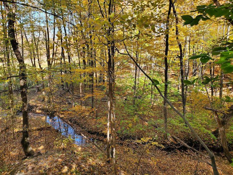 Educational Programs and Community Events That Connect You Deeper