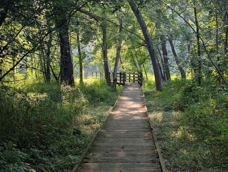 Camping Under the Stars in a Quiet Corner of Missouri