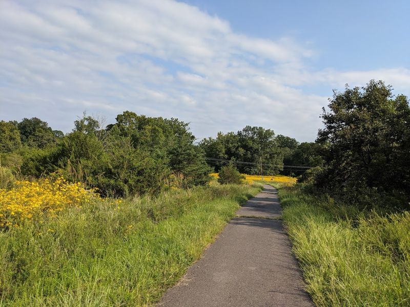 Biking Through the Park: Two Wheels, Maximum Fun