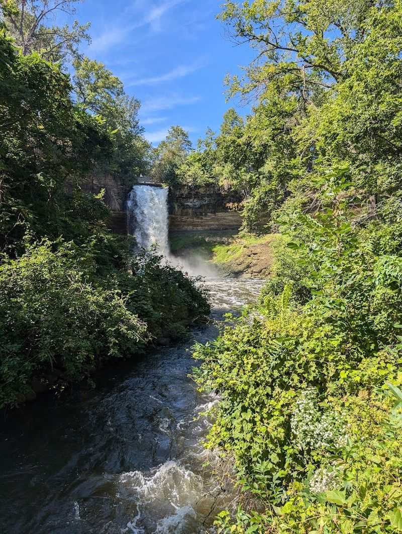 Wildlife, Nature, and Unexpected Encounters