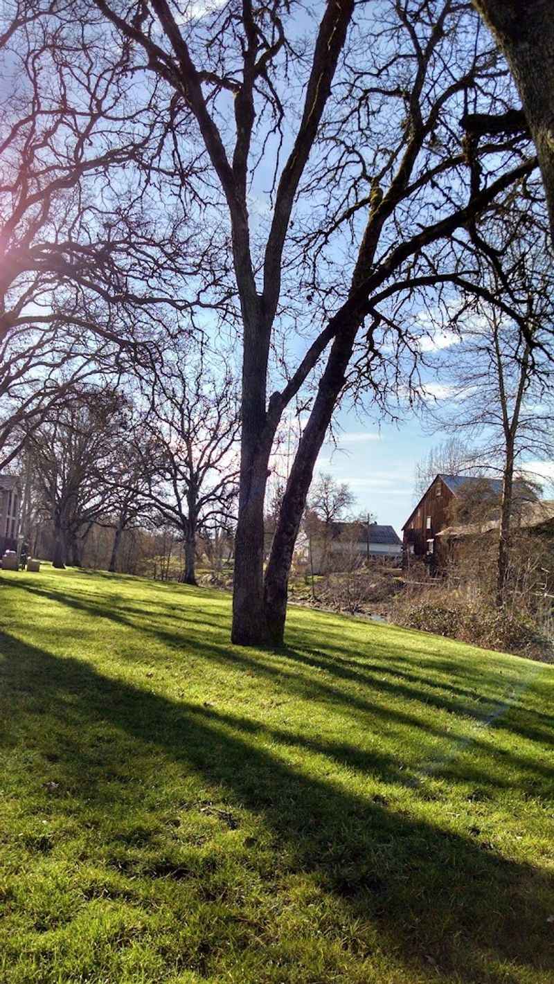 The Creek, the Bridge, and the Natural Setting Around the Mill