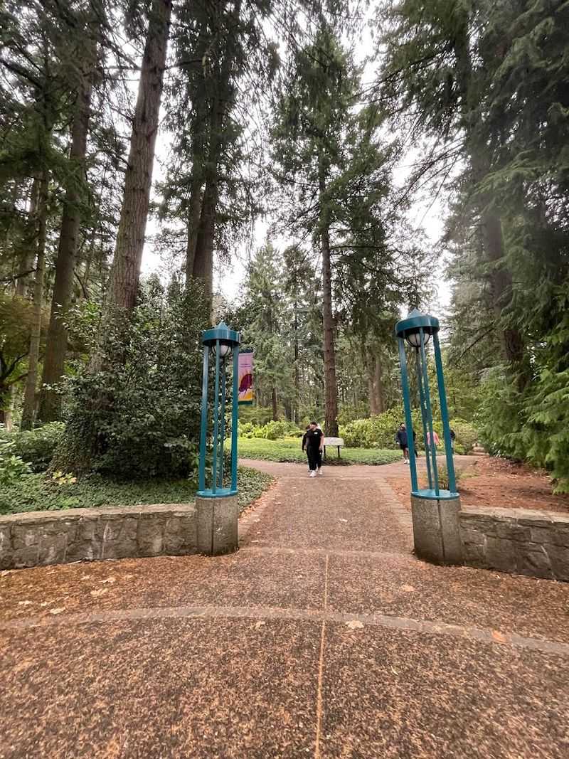 Walking Paths That Invite Slow, Mindful Exploration