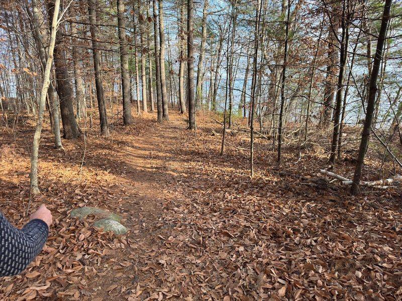 The 23 Acre Littlejohn Island Preserve Welcomes Visitors