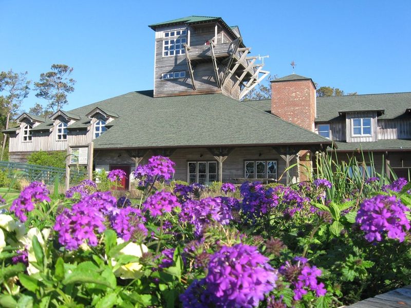 The Core Sound Waterfowl Museum Celebrates Decoy Carving