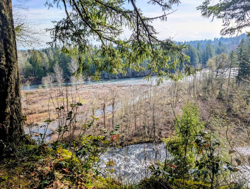 Wildlife and Nature Worth Slowing Down For