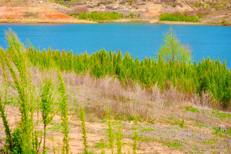 Photography Opportunities That Are Hard to Beat in Texas