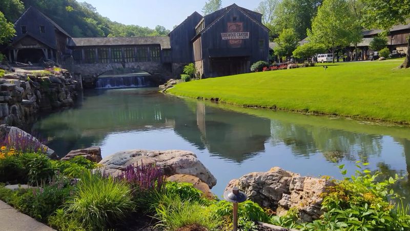 The On-Site Dining and Bison Burger