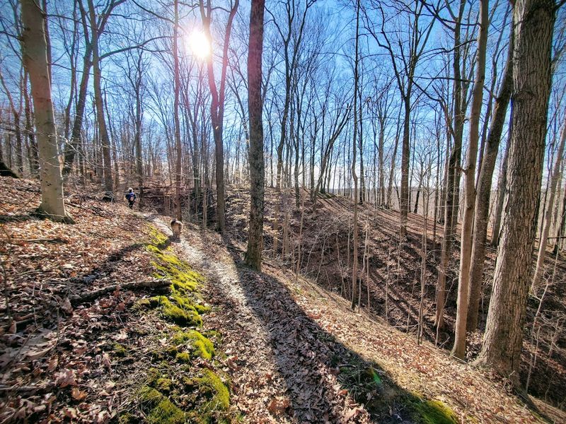 Extensive Hiking Trails Through Forest and Valley