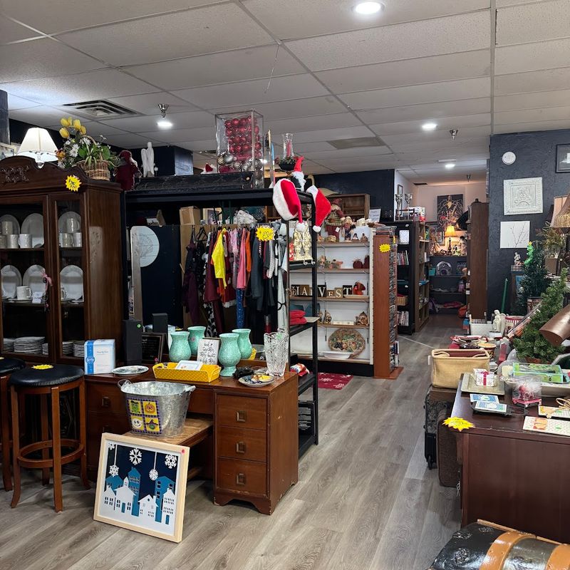 Vintage and Unique Finds Worth Hunting For