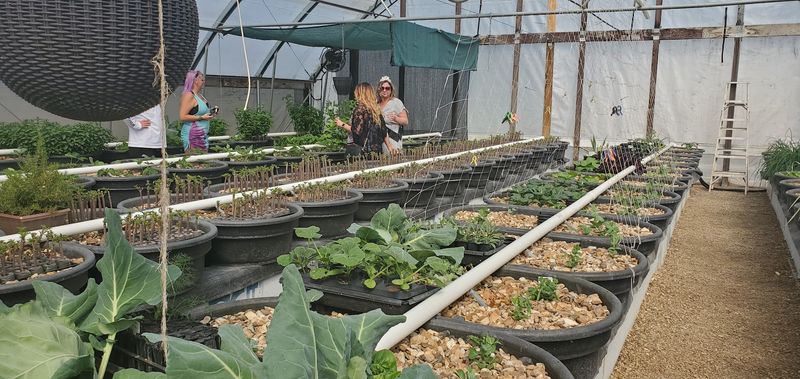 The Wellness Philosophy Behind Every Product