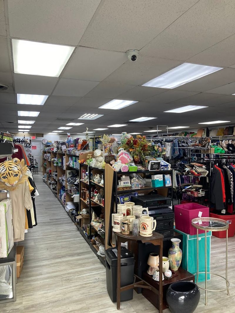 A Welcoming Atmosphere That Feels Like a Community Hub