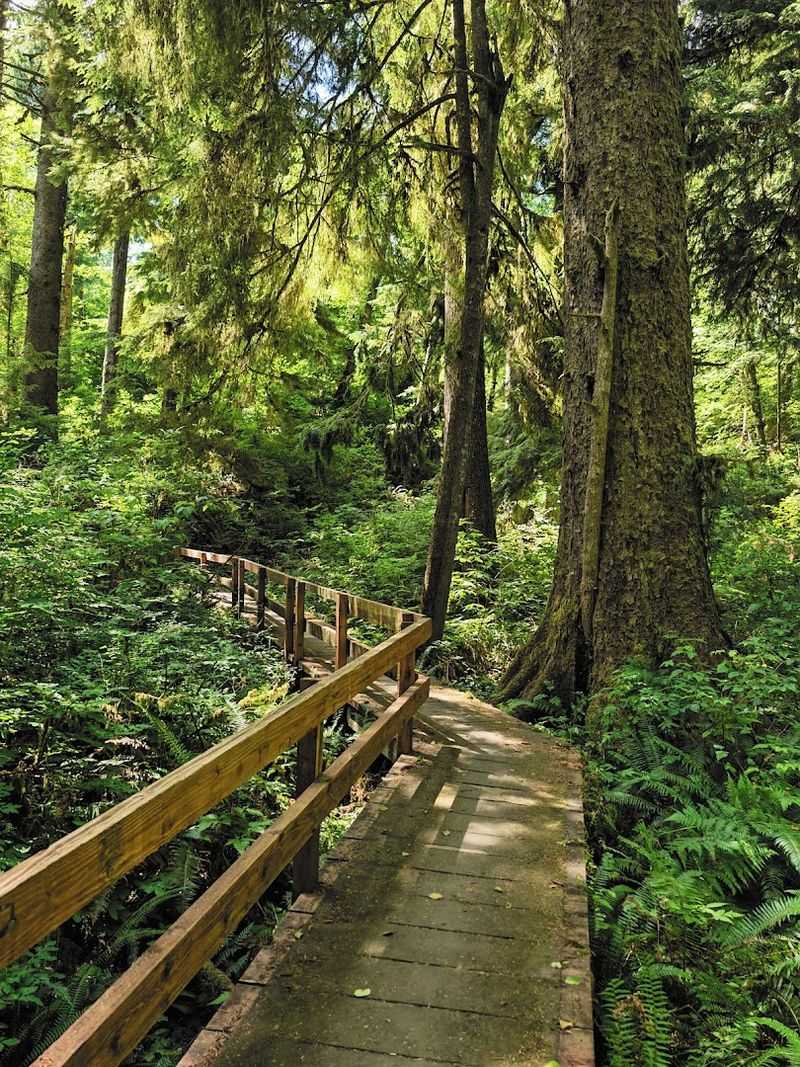 What to Expect on the Trail Itself