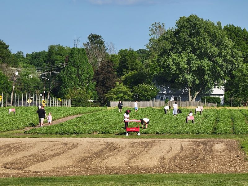 Solar Panels on a Barn: A Pioneering Move That Paid Off