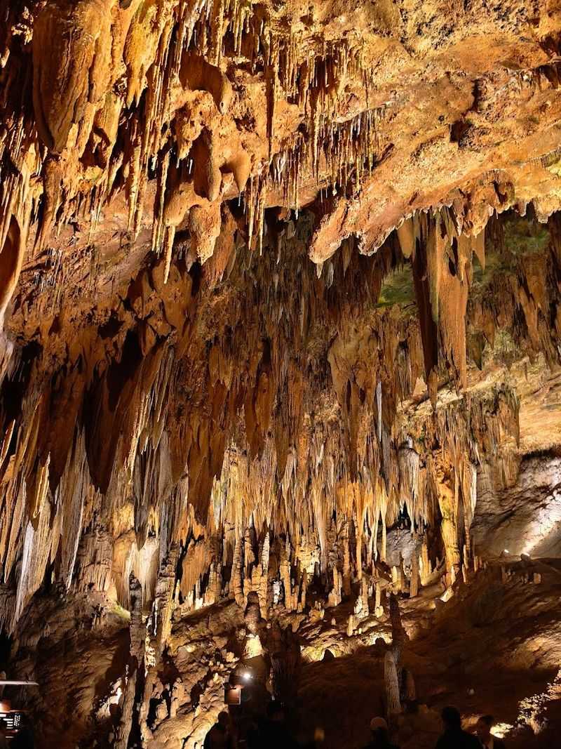 The Console That Controls the Cavern