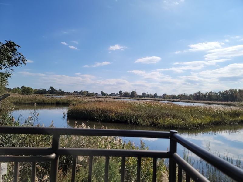 What To Expect From The Surrounding Landscape