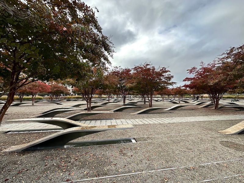 The Trees That Grow Between the Benches The Trees That Grow Between the Benches