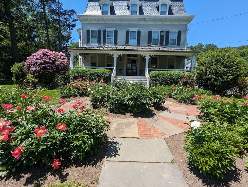 Practical Tips for Getting the Most Out of Your Visit