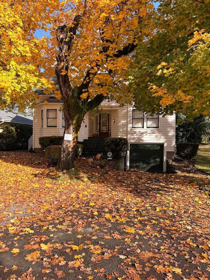 What Guests Are Saying About the Experience