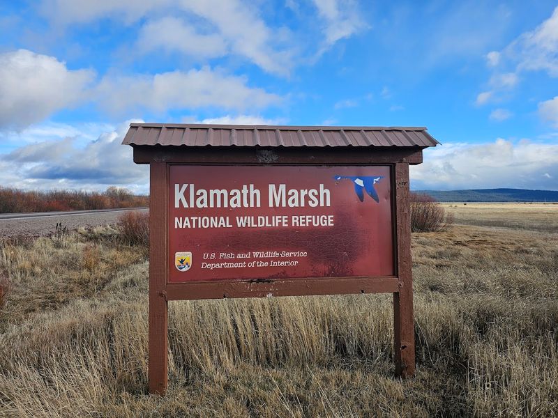 Tips for Planning Your Visit to Klamath Marsh
