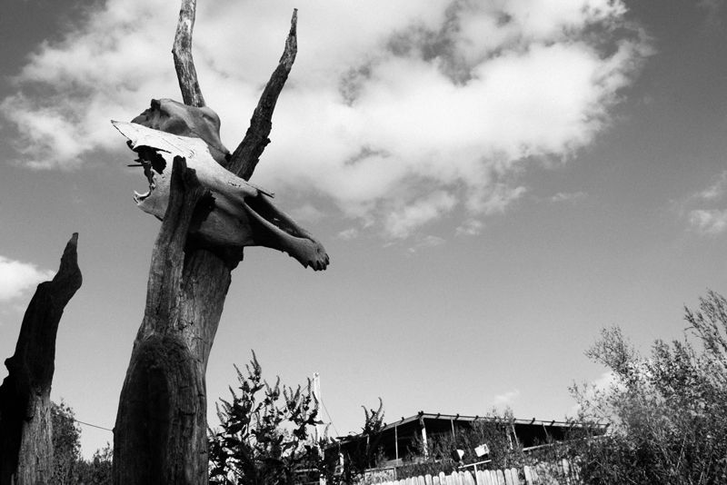 The Outdoor Setting and Why It Changes Everything